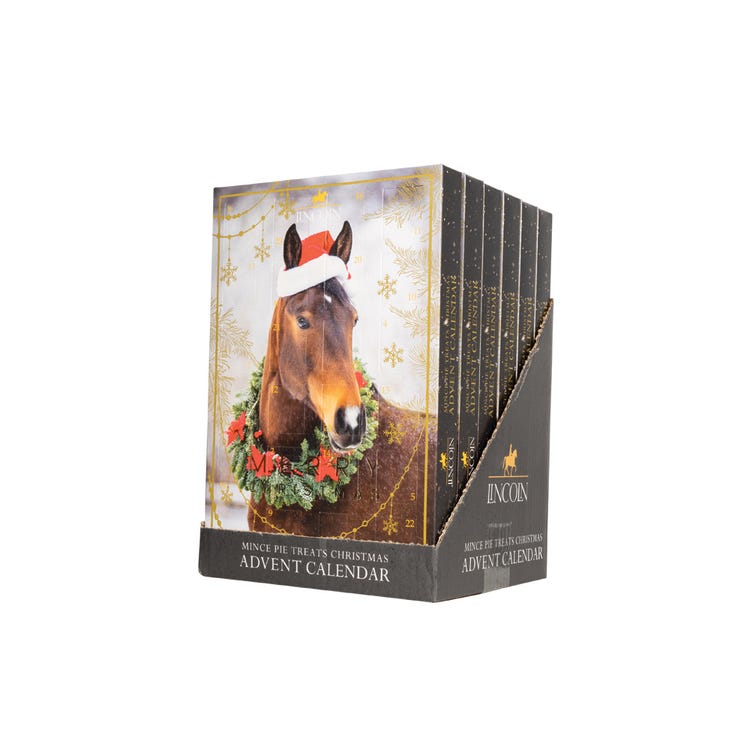 Lincoln Mince Pie Treats Christmas Advent Calendar image 2